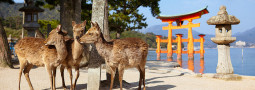 Itsukushima, la isla santuario en la que conviven hombres y dioses