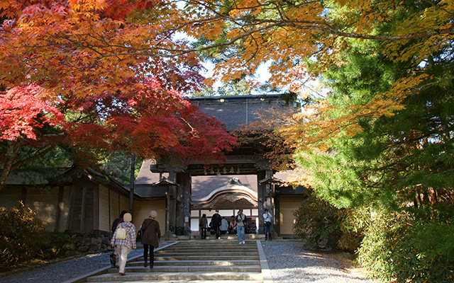 Hojas de otoño (Momiji) en Kongōbu-ji, Monte Koya. Declarado Patrimonio de la Humanidad