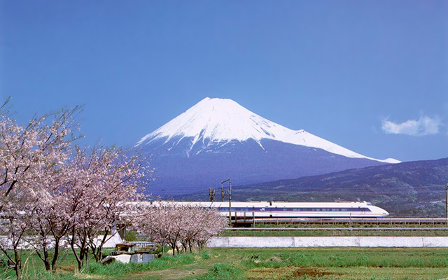 El Monte Fuji, las flores de cerezo y el shinkansen en primer plano. Los tres son icónicos de Japón