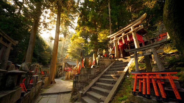 Fushimi Inari por Miguel Michán