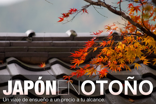 Viaje a Japón Otoño de 2012 Noviembre precio económico