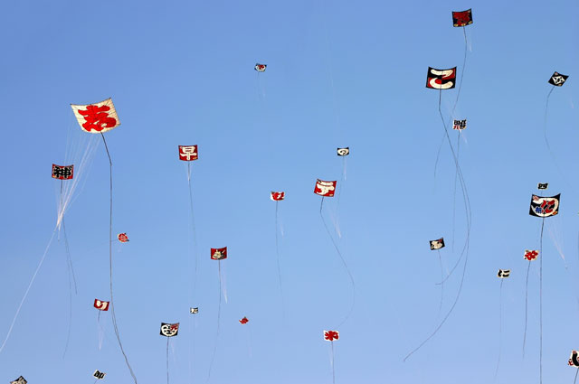 Hamamatsu Festival